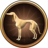 السلوقي